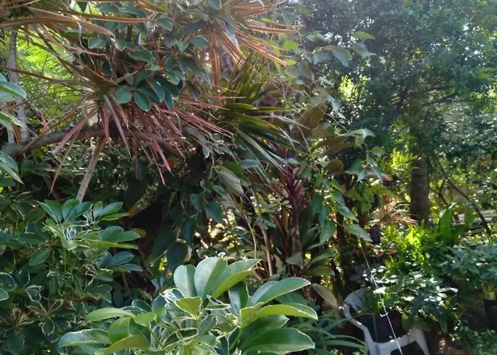 Casa de hóspedes: Hospedaria D'Maria